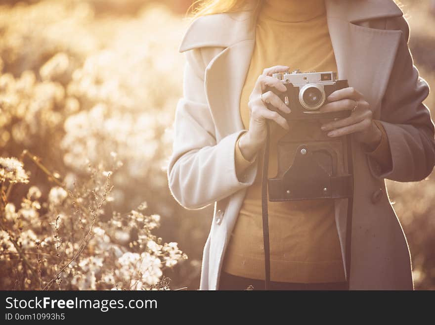 Vintage autumn. girl with a vintage camera walks in the fields of fluffy dandelions at sunset. Vintage autumn. girl with a vintage camera walks in the fields of fluffy dandelions at sunset