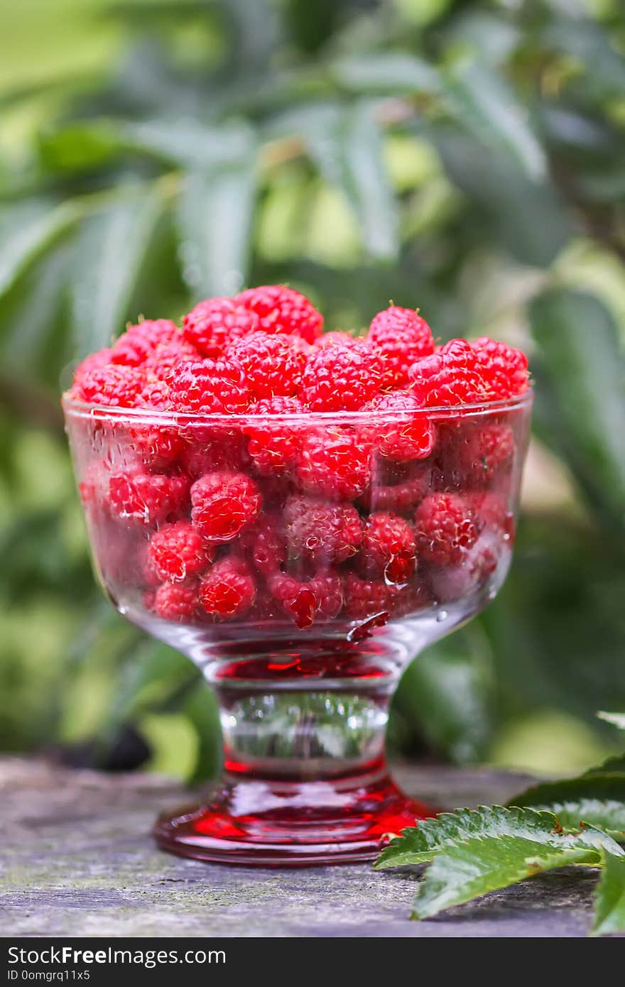 Ripe sweet summer berries. Raspberry in transparent vase on old rough wooden fence. Fresh raspberries on plant branches