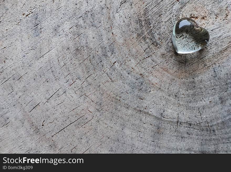 Transparent heart on the rough surface of an old stump. Perfect Valentine`s Day greeting card background