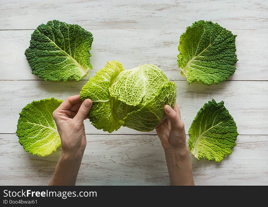 Organic vegetables. Farmers hands with freshly harvested cabbage. Fresh Savoy cabbage.