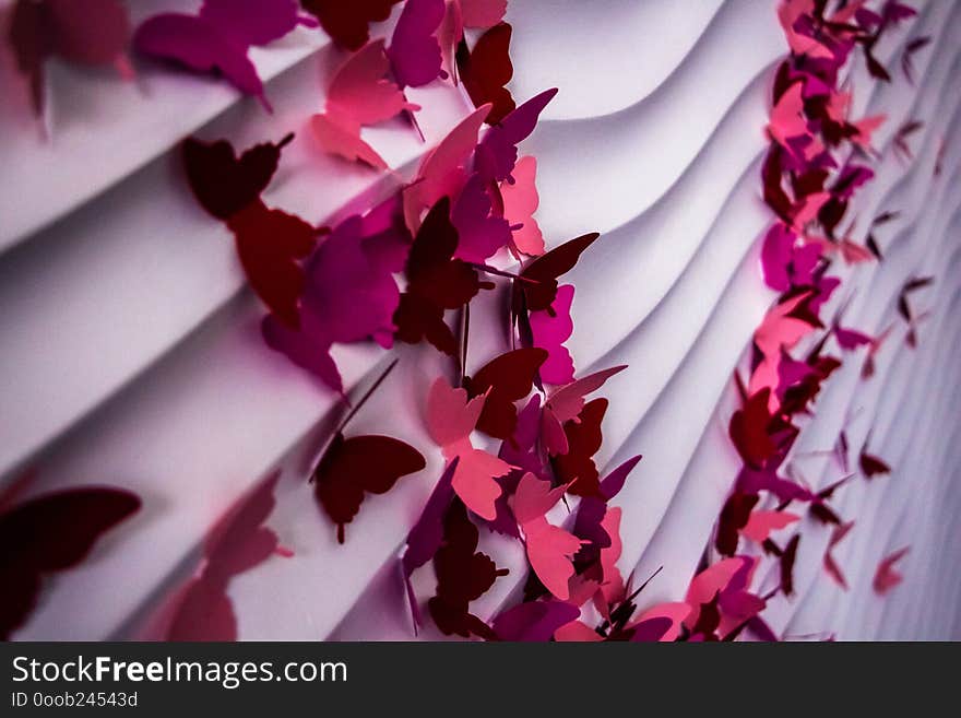 pink butterflies on white wall