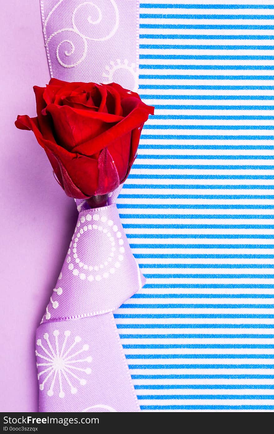 Congratulation or valentine gift card with violet background with one red red rose and violet knot and band and plenty copy space for the text. Congratulation or valentine gift card with violet background with one red red rose and violet knot and band and plenty copy space for the text