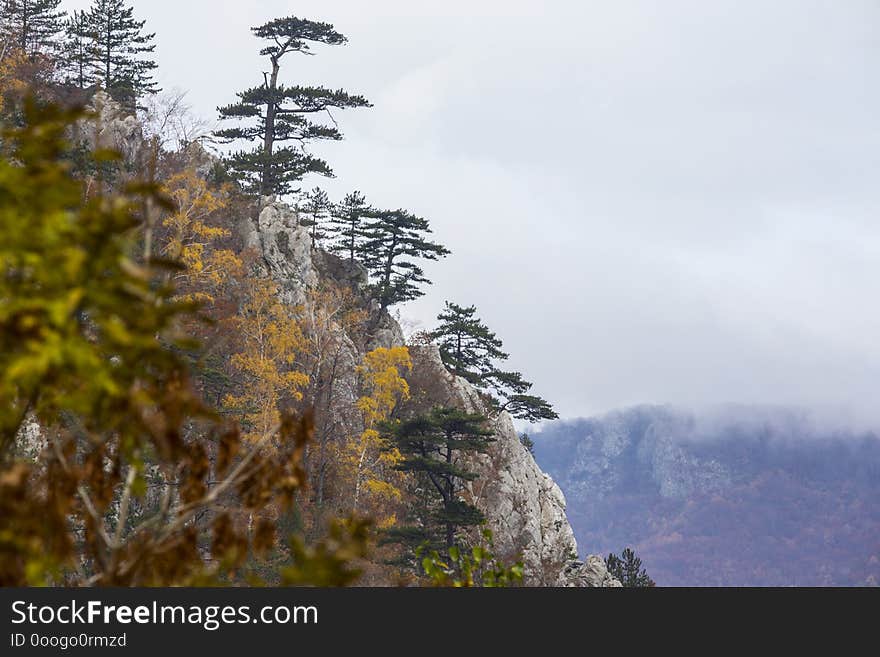 Misty autumn scenery in a remote area in the mountains in Romania. Misty autumn scenery in a remote area in the mountains in Romania