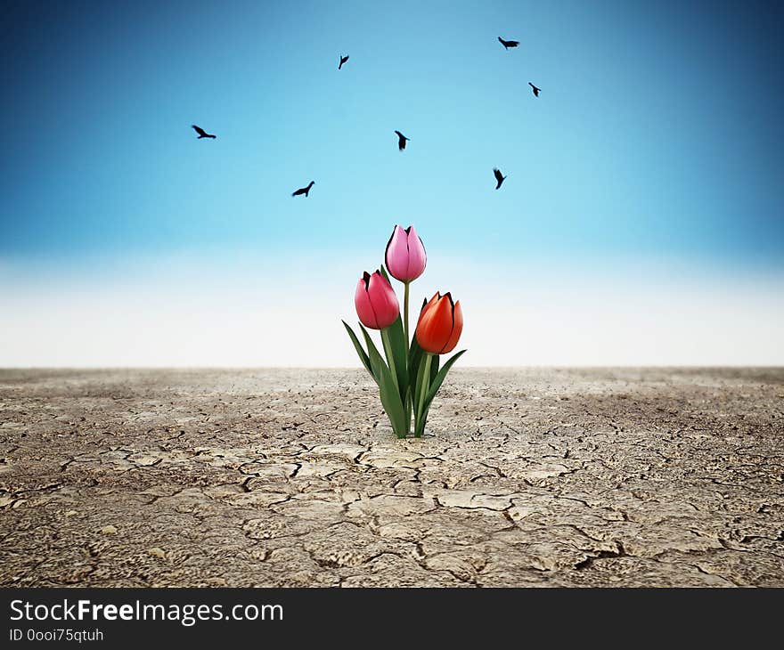 Lonely flower standing on cracked soil. 3D illustration