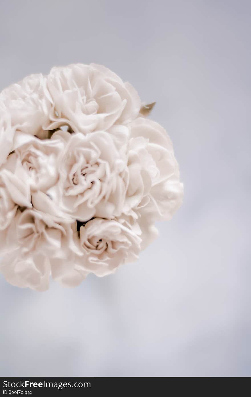 Bridal bouquet of white roses - wedding day, floral beauty, luxury event decoration concept. The happiest day of our lives