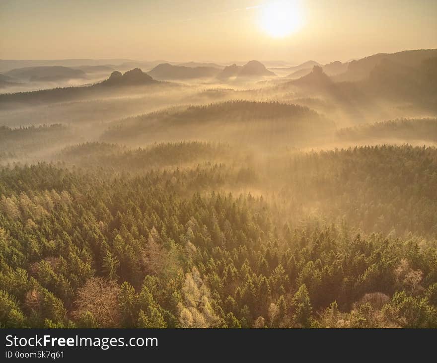 Foggy autumnal morning in mountain landscape. Forests valley with thick colorful mist