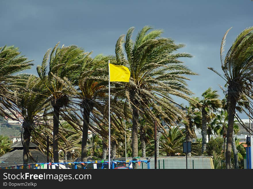 Yellow Flag in coastline in summer holiday, in Las Americas, Tenerife, Spain. Aerial view over Los Cristianos beach and Adeje coastline in summer holiday, in Tenerife, Spain