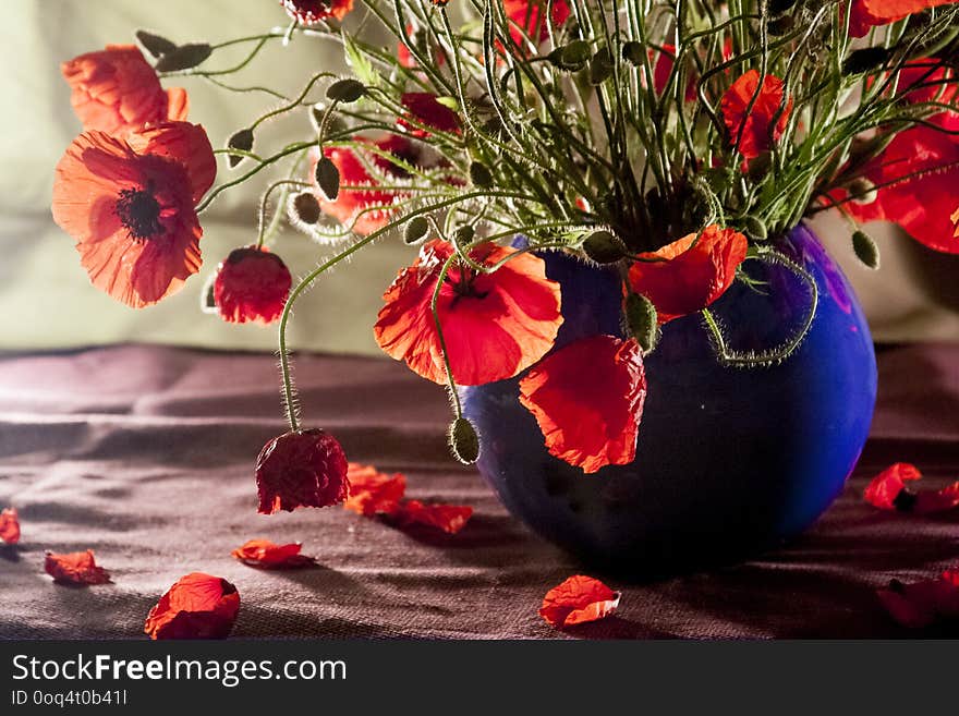 Beautiful, still life composition with poppies