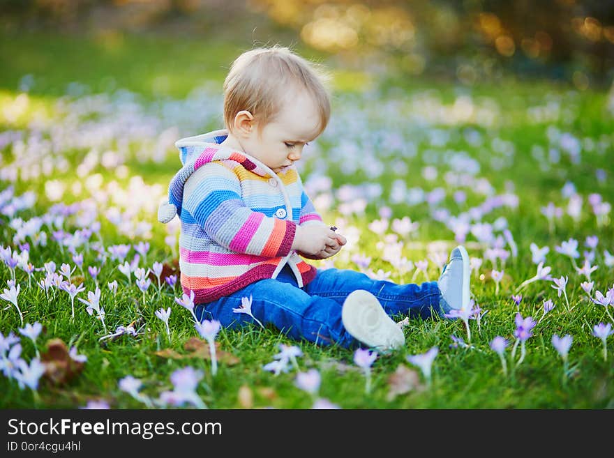 Baby girl in knitted clothes sitting on the grass with blue hyacinths