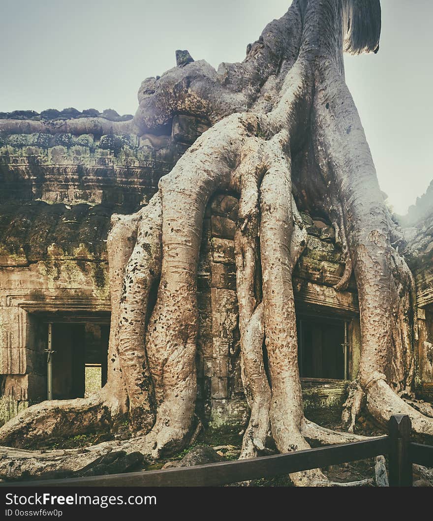 Ta Prohm temple at Angkor. Siem Reap. Cambodia. Ta Prohm temple at Angkor. Siem Reap. Cambodia