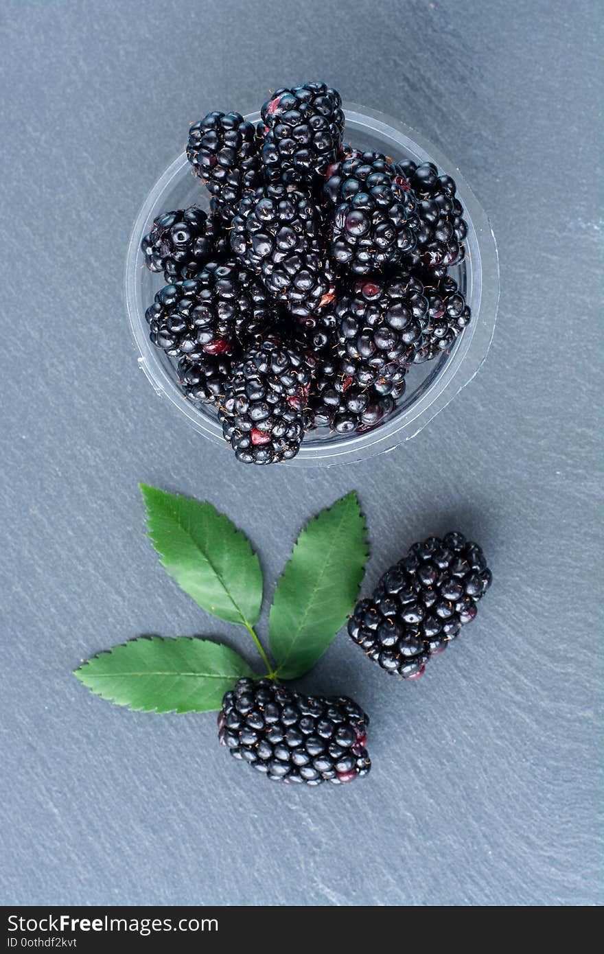 Image of ripe blackberries closeup with leaves. Image of ripe blackberries closeup with leaves