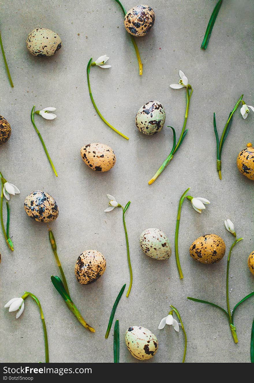 Easter background with quail eggs and snowdrop flowers. Spring background. Overhead flatlay Easter