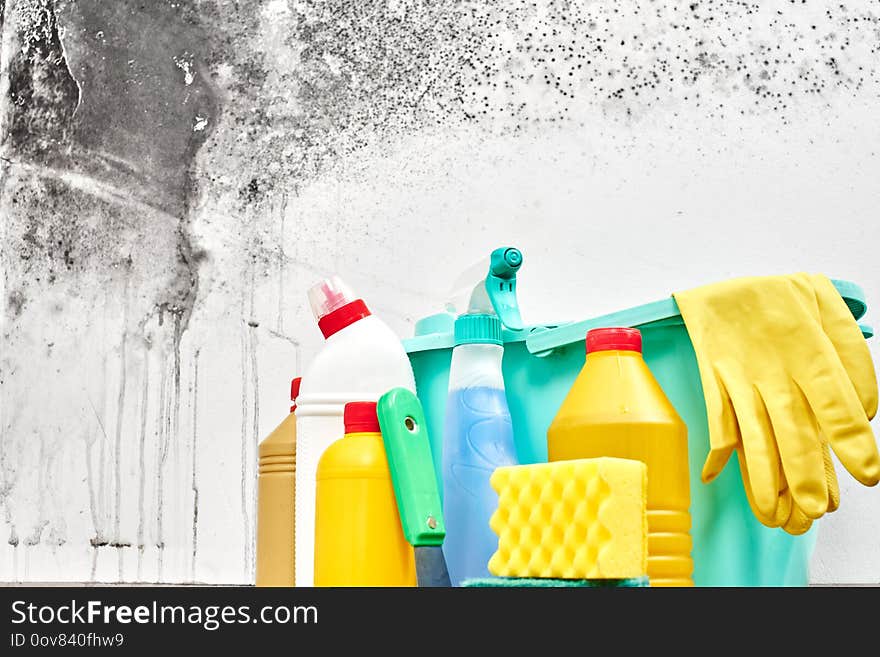 Mold. Aspergillus. Detergents, household gloves, a sponge, a bucket on a white wall background with a black fungus