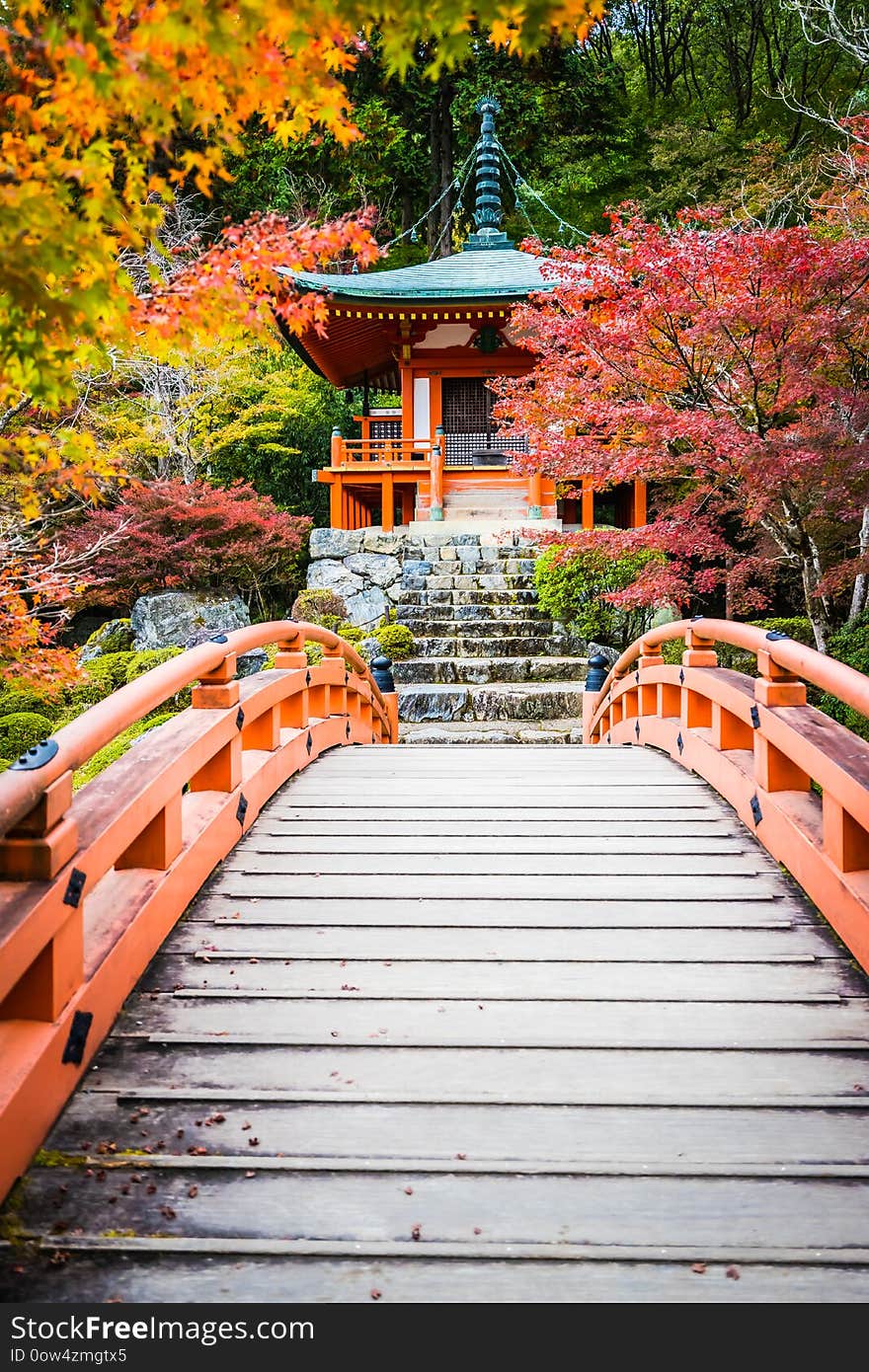 Beautiful Daigoji temple with colorful tree and leaf in autumn season Kyoto Japan