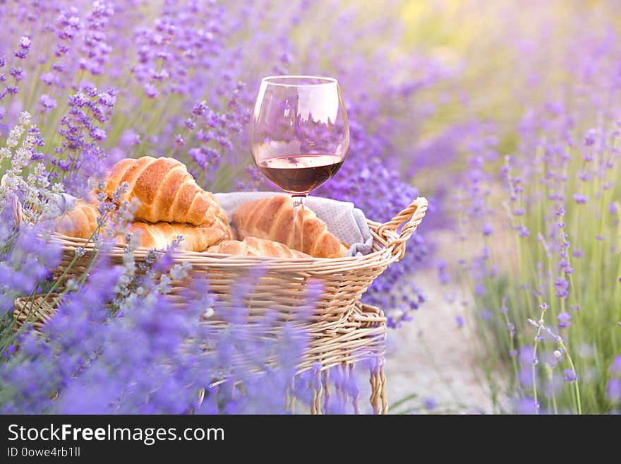 Wine and croissant against lavender landscape in sunset rays. Harvesting of aromatic lavender. A basket filled with fresh food stands at midlle of lavender field.