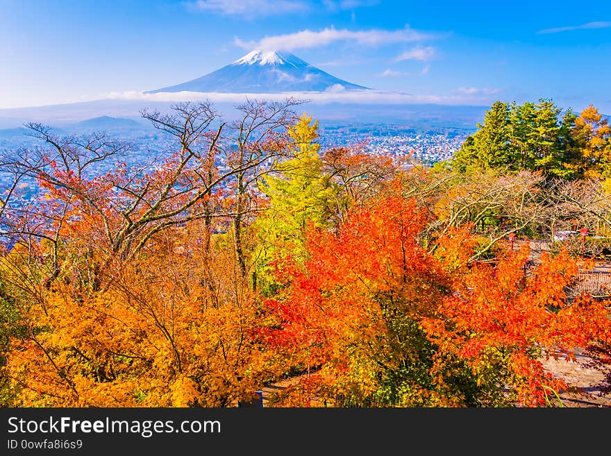 Beautiful landscape of mountain fuji around maple leaf tree in autumn season