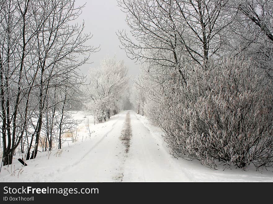 Snowy Winter Country Lane