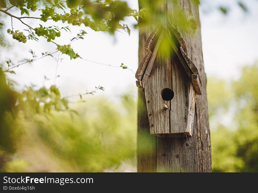 A wooden nesting box hanging on a tree. Bird house on the tree in spring park or forest.