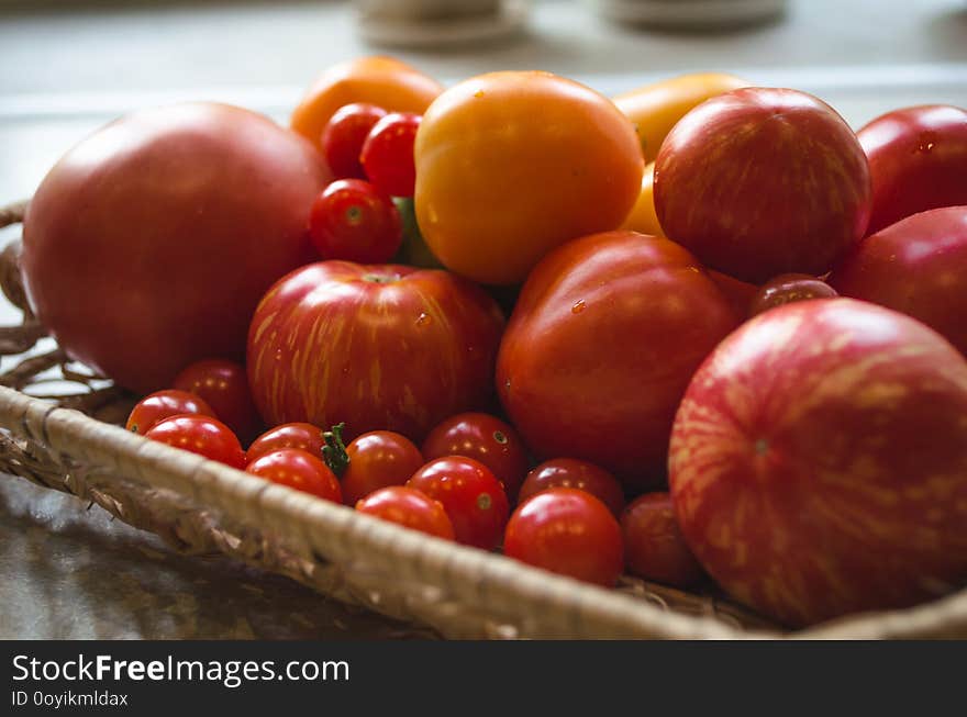 Freshly picked organic tomatoes. Variety of cherry tomatoes, yellow tomatoes. striped tomatoes. Freshly picked organic tomatoes. Variety of cherry tomatoes, yellow tomatoes. striped tomatoes.