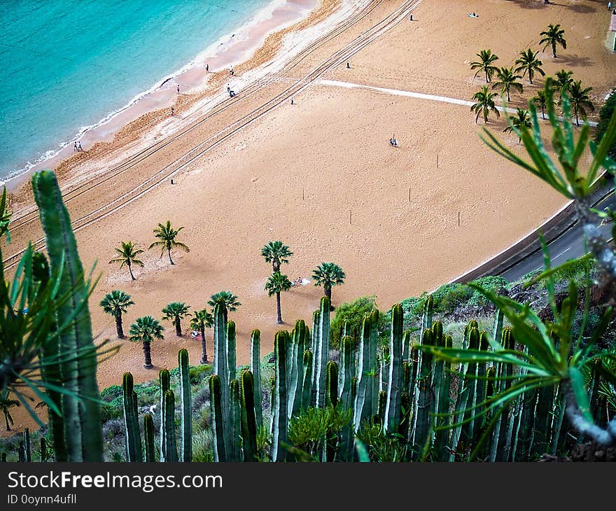 Beach landscape in Tenerife