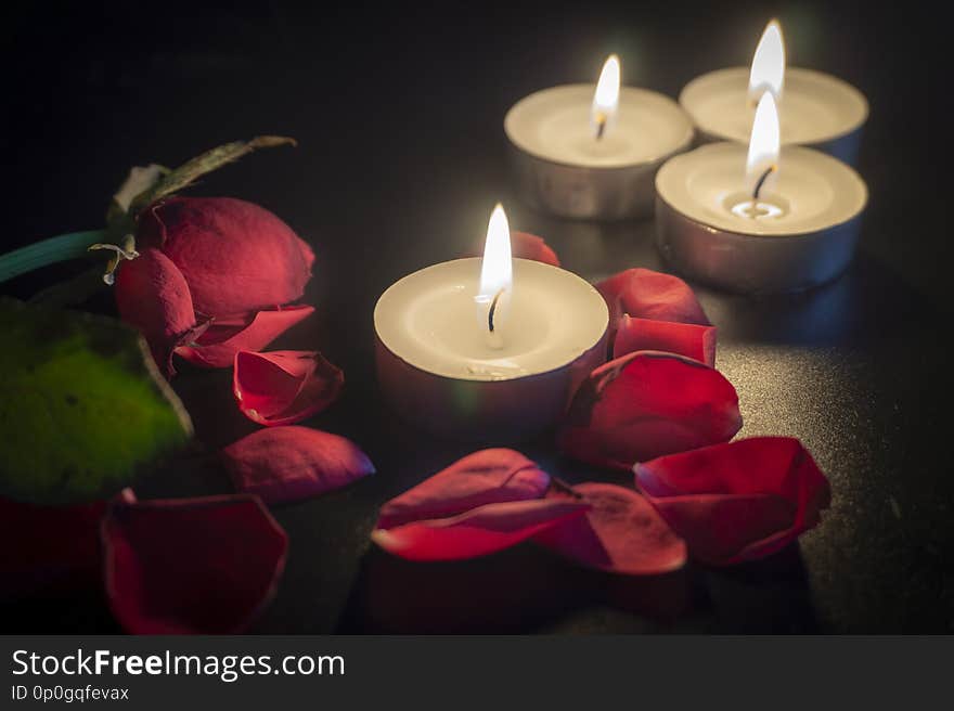 Four tea candles and red rose petals in the dark with shallow depth of focus. Four tea candles and red rose petals in the dark with shallow depth of focus