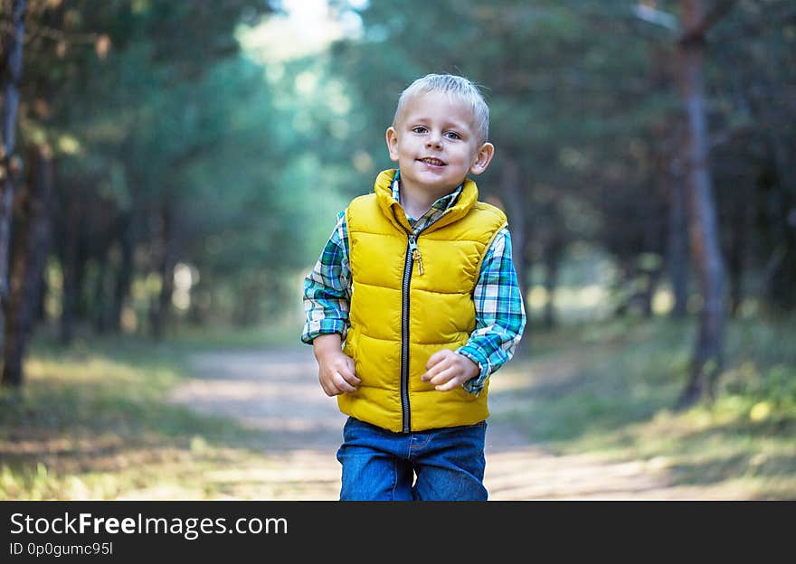 A little boy walks along a forest path and looks into the camera on a sunny autumn day