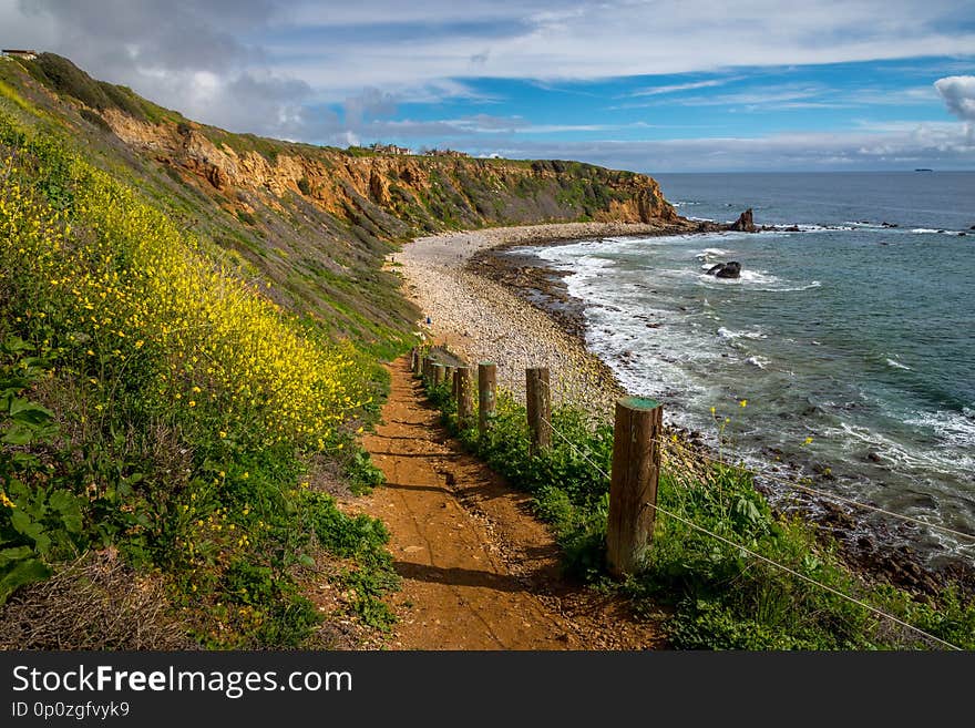 Beautiful view of yellow flowers covering steep Pelican Cove cliffs during the California Super Bloom of 2019 with stunning cloudscape on a sunny day, Tovemore Trail, Rancho Palos Verdes, California. Beautiful view of yellow flowers covering steep Pelican Cove cliffs during the California Super Bloom of 2019 with stunning cloudscape on a sunny day, Tovemore Trail, Rancho Palos Verdes, California