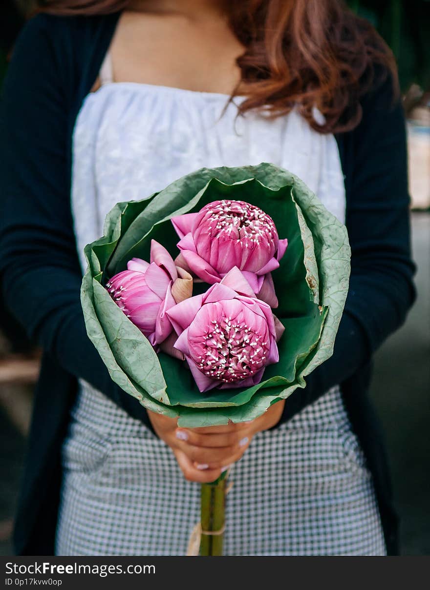 Lotus flowers bouquet - pink lotus flowers in woman hands - Pink lotus is considered to be the supreme lotus; the true locus of the Buddha