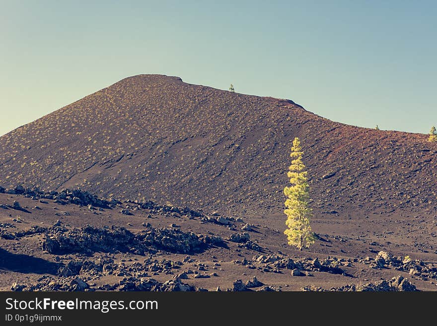 Volcano Chinyero - Last eruption dates back to 1909. Teide, Tenerife.