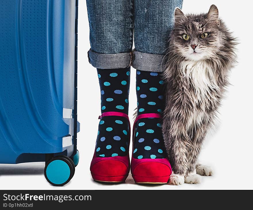 Stylish suitcase, women`s legs, bright, multicolored socks, pink shoes and gentle kitten on a white, isolated background. Close-up. Concept of style, beauty and travel. Stylish suitcase, women`s legs, bright, multicolored socks, pink shoes and gentle kitten on a white, isolated background. Close-up. Concept of style, beauty and travel