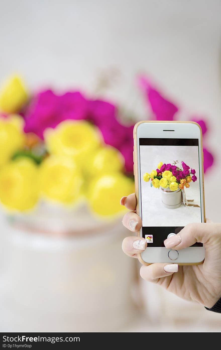 Girl shoots on your smartphone beautiful rustic bouquet in the friend`s hands.Girl shoots on your smartphone beautiful bouquet of ranunculus in the friend`s hands