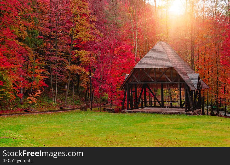 Autumn landscape. Autumn park on a rainy day. Yellow fallen leaves.