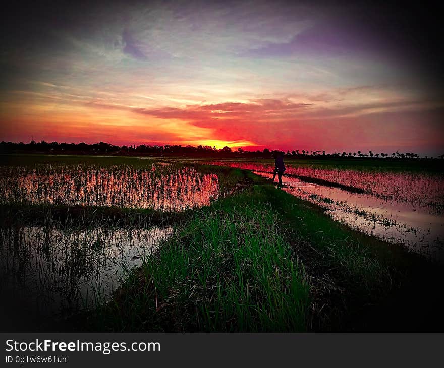 Sunset on field landscape nature at its Best. Sunset on field landscape nature at its Best