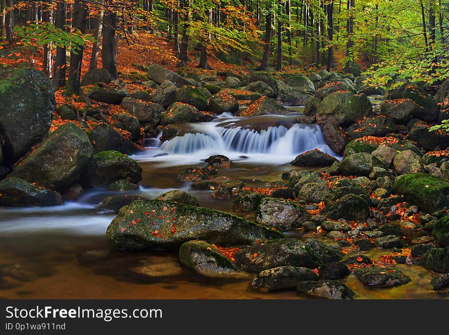 Foggy autumn or summer landscape. Misty foggy morning with river in a valley of Bohemian Switzerland park. Detail of forest.