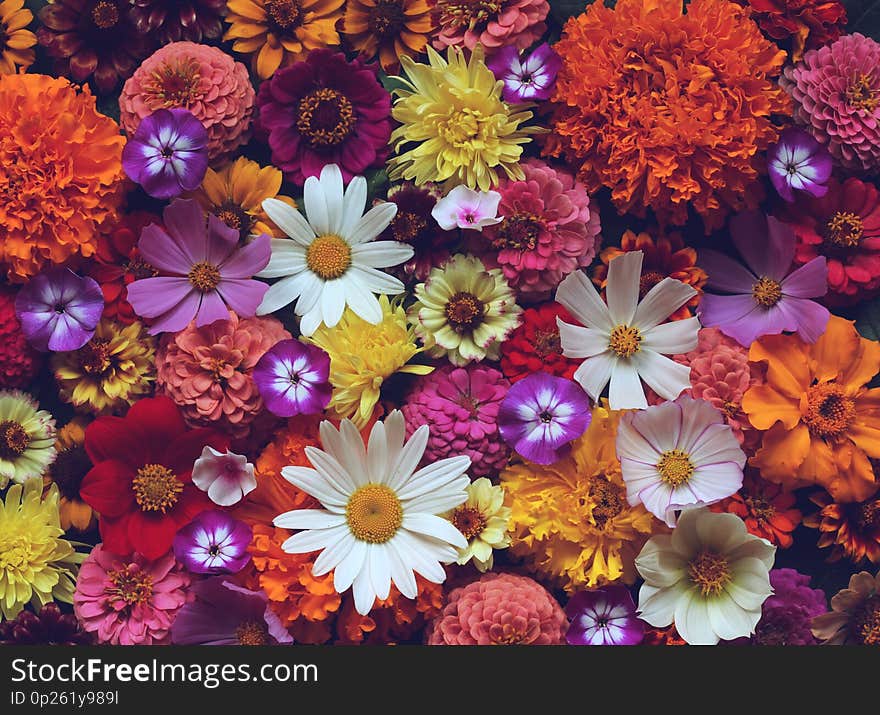 Floral Background, Bouquet Of Garden Flowers, Top View