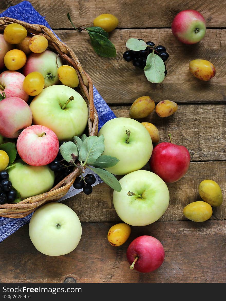 Rustic garden apples, plums, black chokeberry on a rough Board table, top view. Berries and fruit in the basket. Rustic garden apples, plums, black chokeberry on a rough Board table, top view. Berries and fruit in the basket