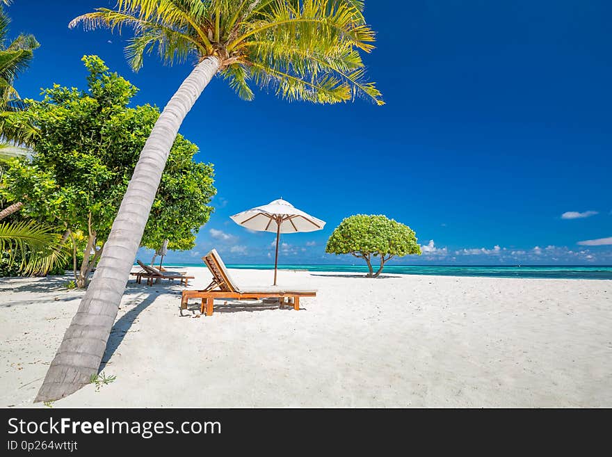 Beautiful beach with palm trees and moody sky. Summer vacation travel holiday background concept.