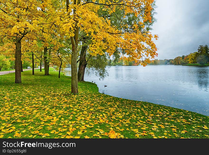 Autumn landscape in the Park.The leaves on the trees have a multicolored color