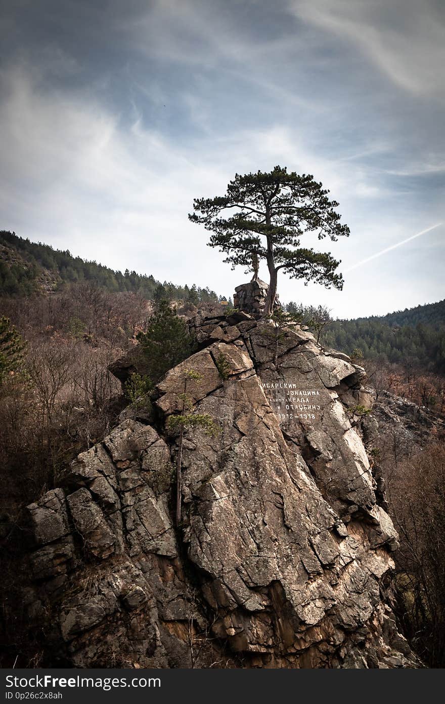 One wood on top of stone near the river and monument dedicated to the victims of WWI. River Ibar in Serbia near the Raska town.