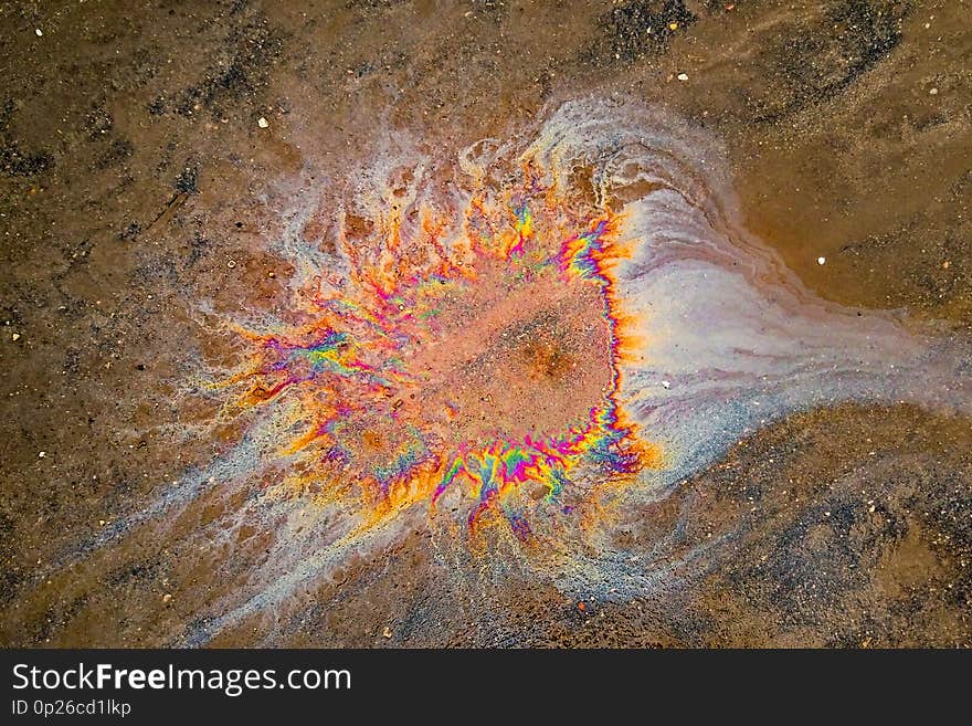 Colorful gasoline floral shape leaked on the wet asphalt road