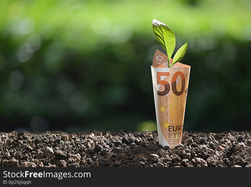 Image of EURO money banknote with plant growing on top for business, saving, growth, economic concept