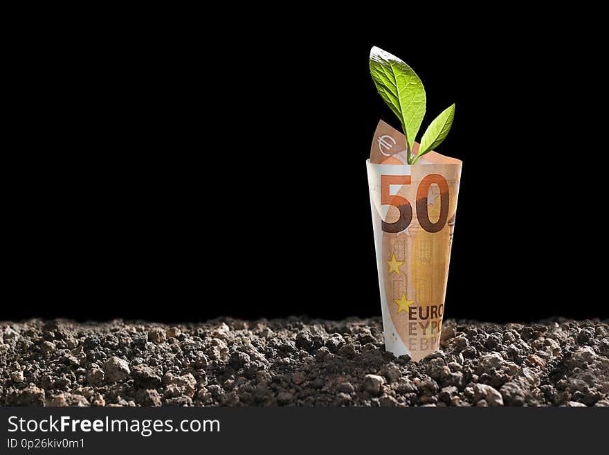 Image of EURO money banknote with plant growing on top for business, saving, growth, economic concept isolated on black background