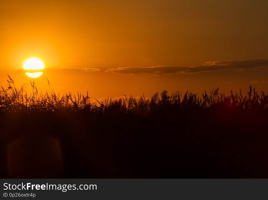 Sunset over the reed at Kuyalnik Estuary Ukraine. Sunset over the reed at Kuyalnik Estuary Ukraine