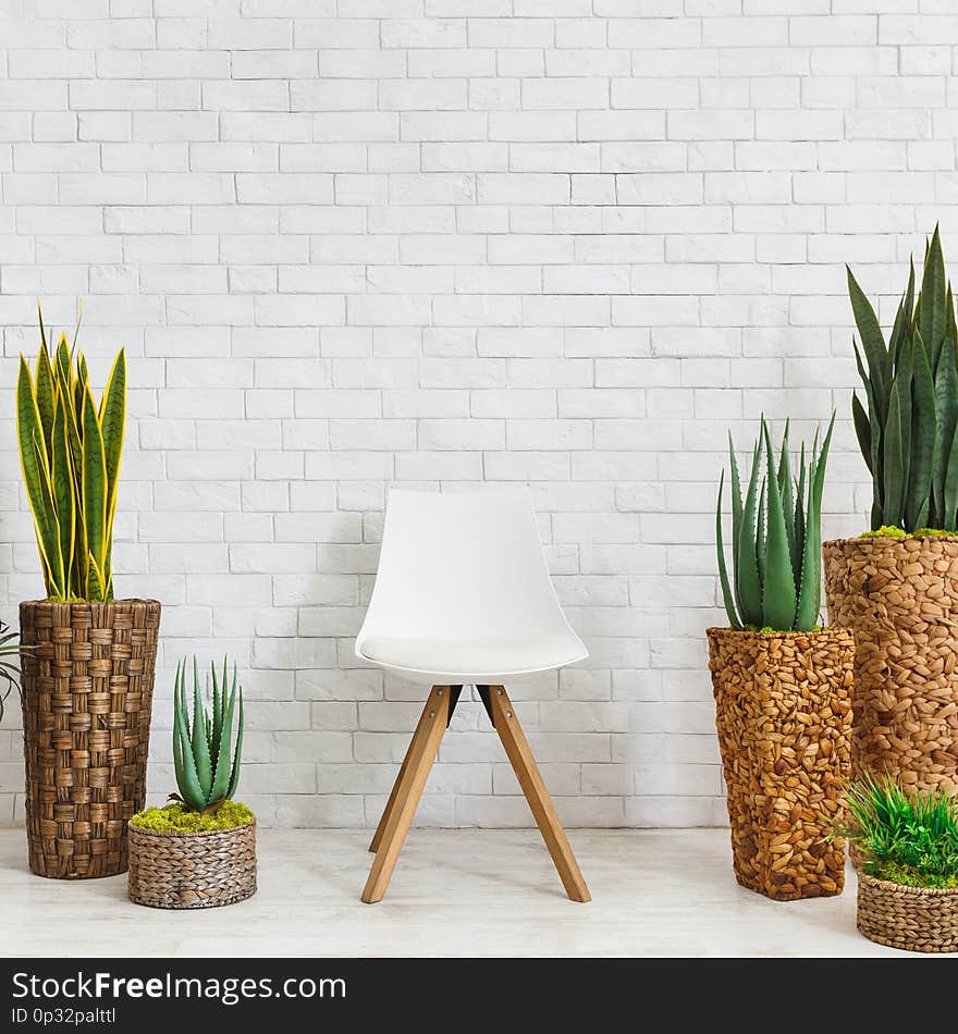 Home plants in pots and scandinavian chair standing on floor at white brick wall background, copy space. Botanical home decoration concept