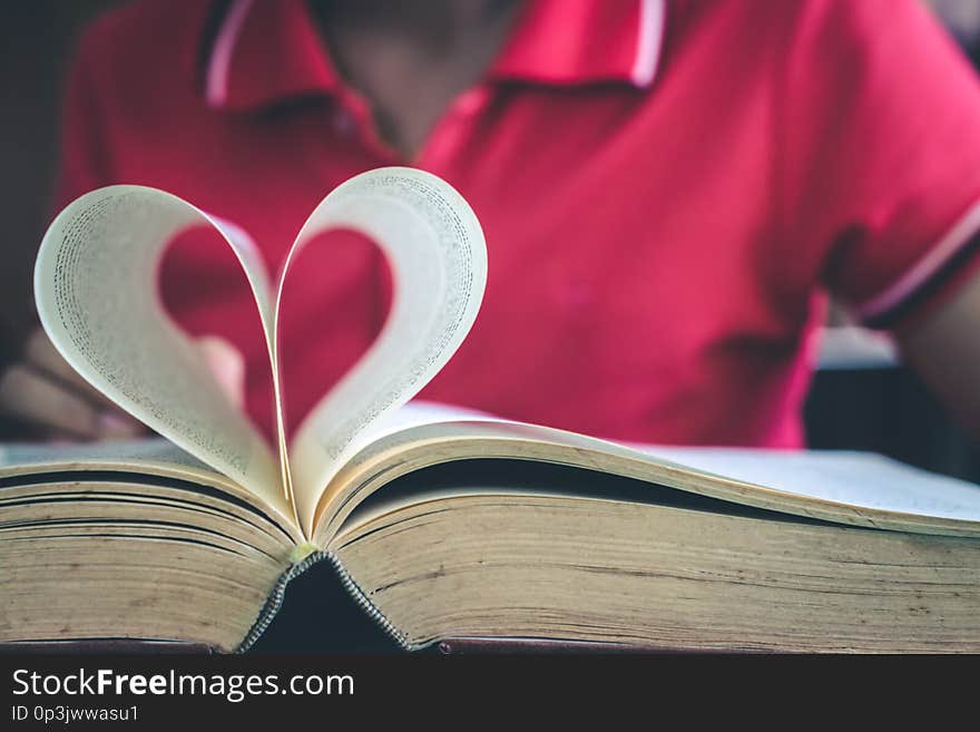 Women read holiday books in a quiet environment