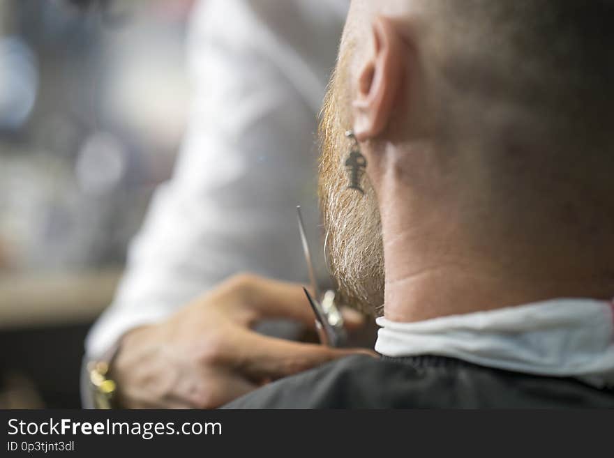 Caucasian man with unusual eardrop is sitting at barbershop while professional barber cutting his beard