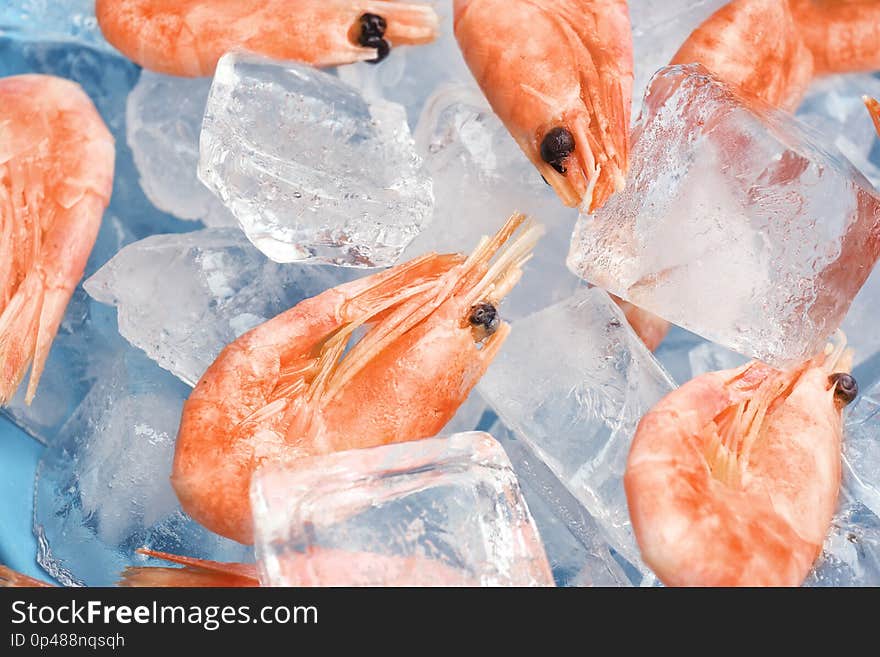 Raw shrimps and ice cubes as background, closeup