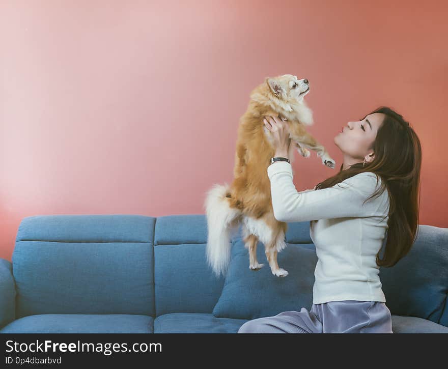 Portrait of young Asian woman holding her dog chihuahua on sofa at home.