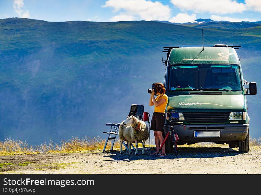 Camper van and sheep on roadside and female tourist taking photo with camera, enjoying summer landscape, Norway. Tourism vacation and travel. Camper van and sheep on roadside and female tourist taking photo with camera, enjoying summer landscape, Norway. Tourism vacation and travel