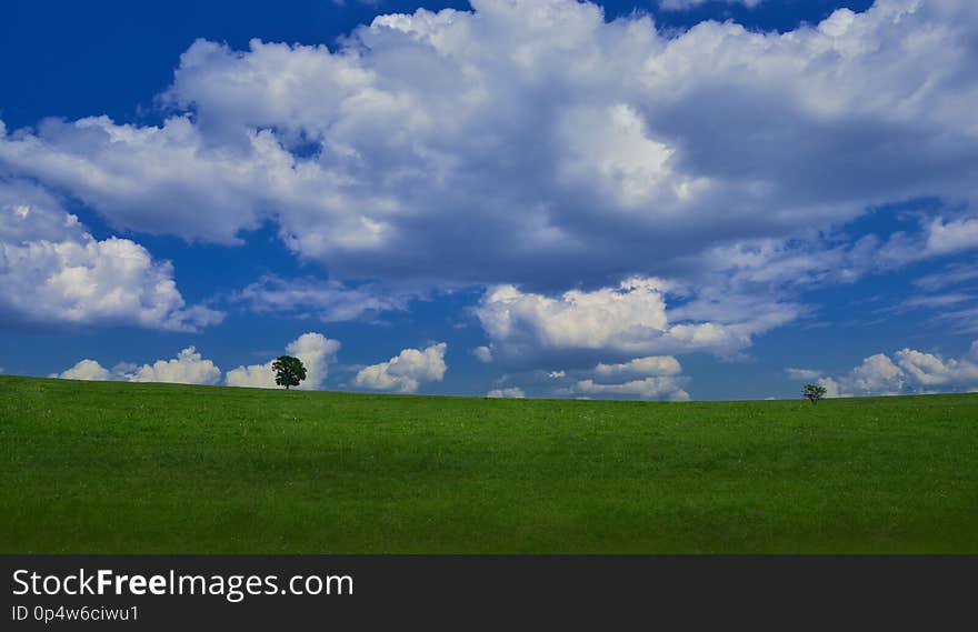 Beautiful Nature.Art Photography.Fantasy design.Creative Background.Amazing Colorful Landscape.Blue Sky, clouds.Panorama, tree.